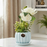 ceramic flower pot rose white 10"x4" china