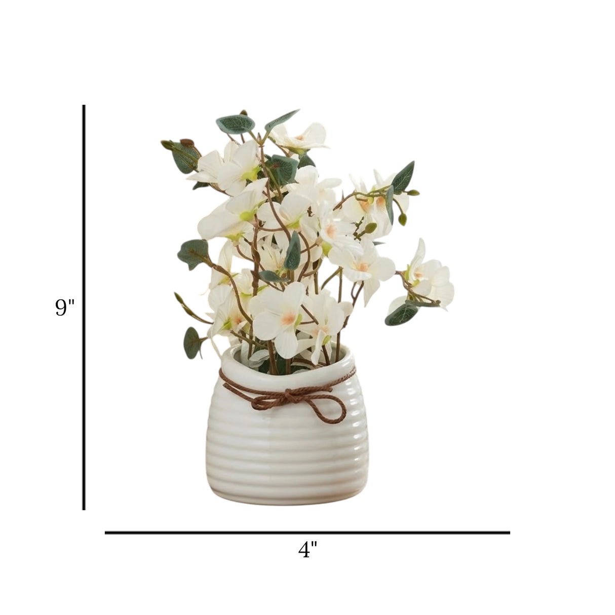 ceramic flower pot begonia white 9"x4" china