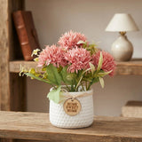 flower pot plastic camellia pink 8''x4'' china