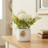 flower pot plastic camellia white 8''x4'' china