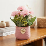 flower pot plastic geranium pink 8''x4'' china