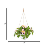 flower pot hanging plastic clematis montana light pink 7"x4" china