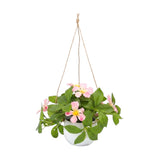 flower pot hanging plastic clematis montana light pink 7"x4" china