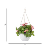 flower pot hanging plastic clematis montana pink 7"x4" china