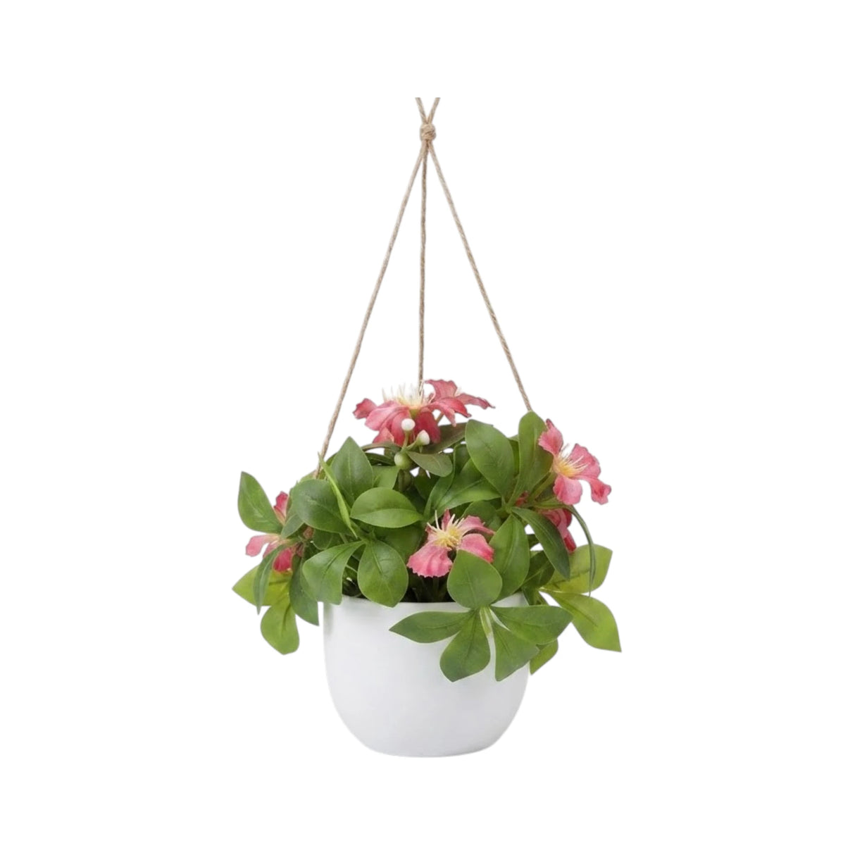 flower pot hanging plastic clematis montana pink 7"x4" china