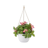 flower pot hanging plastic clematis montana pink 7"x4" china