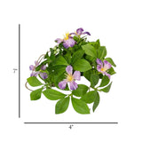 flower pot hanging plastic clematis montana light purple 7"x4" china