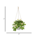 flower pot hanging plastic clematis montana light white 7"x4" china