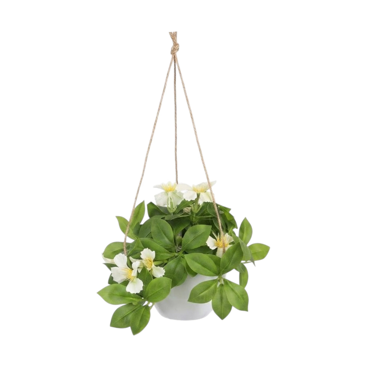 flower pot hanging plastic clematis montana light white 7"x4" china