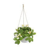 flower pot hanging plastic clematis montana light white 7"x4" china