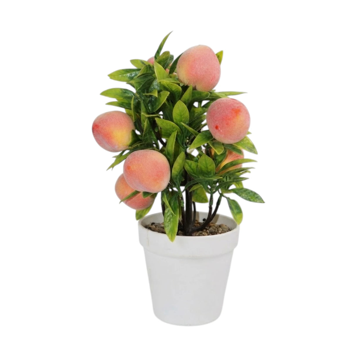 pot plastic peach tree 11"x4" china