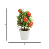 pot plastic berry ball 11"x4" china