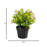 flower pot plastic foliage daisy purple 9"x4.5" china
