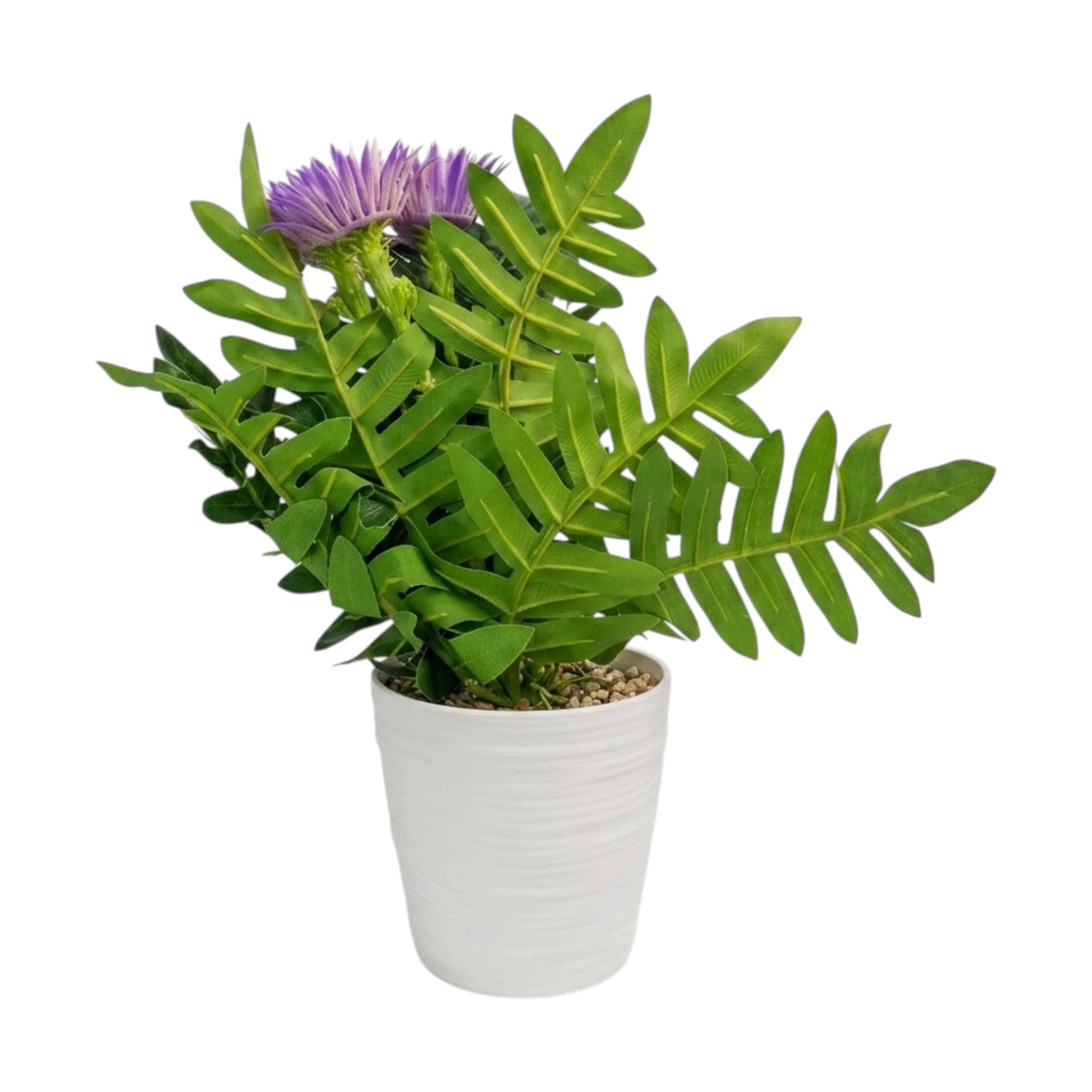 flower pot plastic aster lavender 12''x3'' china