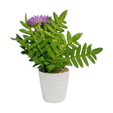 flower pot plastic aster lavender 12''x3'' china