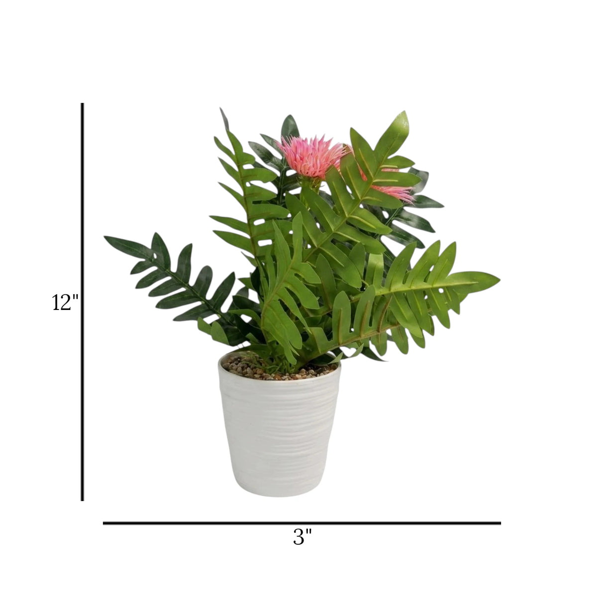 flower pot plastic aster pink 12''x3'' china