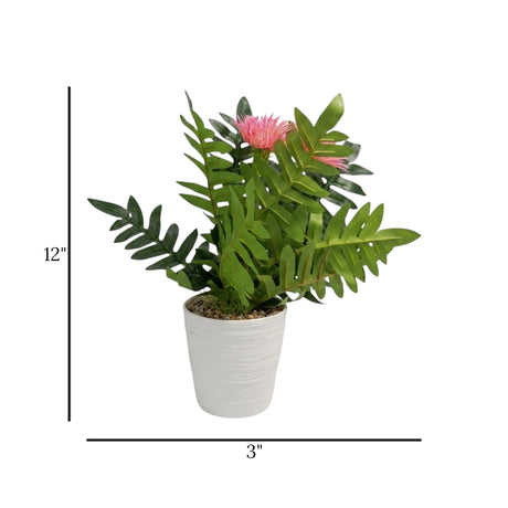 flower pot plastic aster pink 12''x3'' china