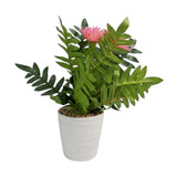 flower pot plastic aster pink 12''x3'' china