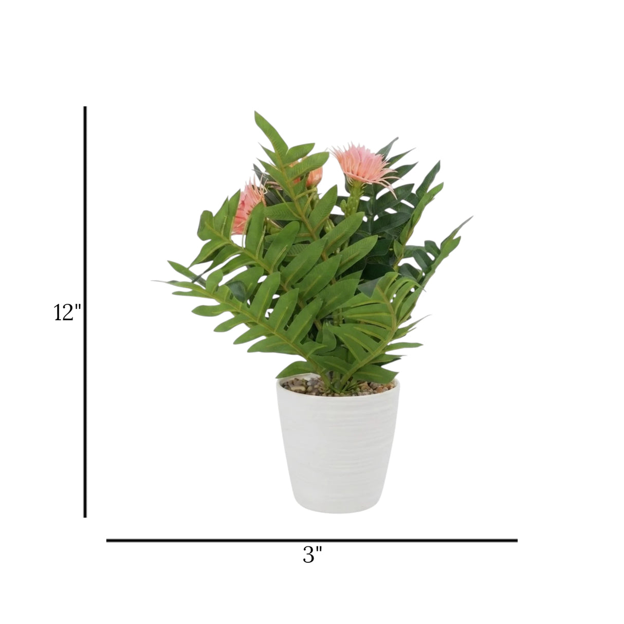 flower pot plastic aster peach 12''x3'' china