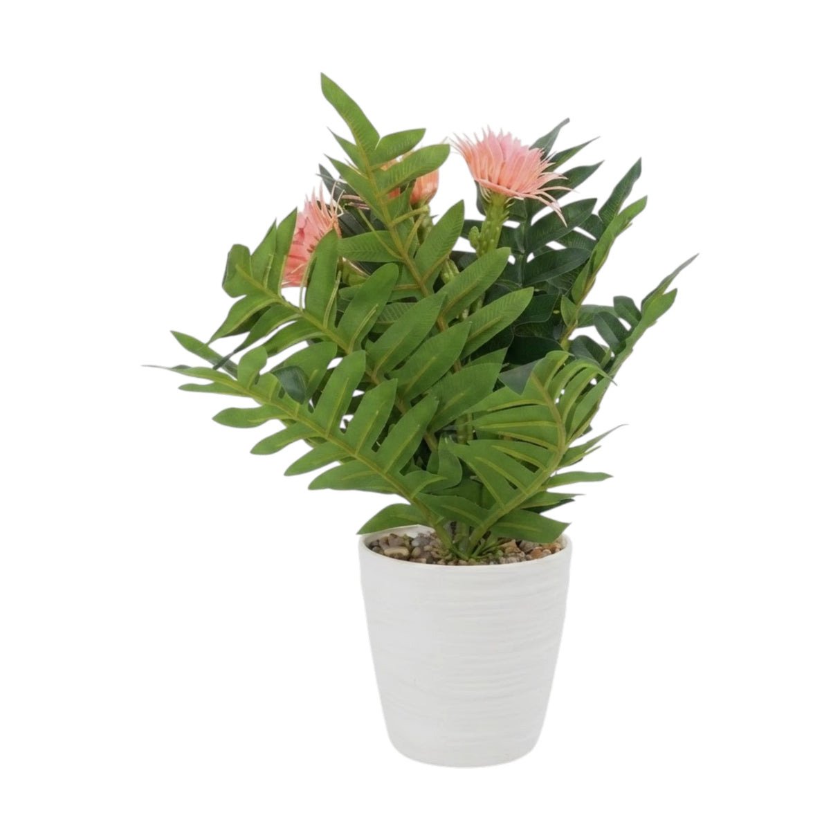 flower pot plastic aster peach 12''x3'' china