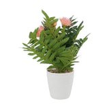 flower pot plastic aster peach 12''x3'' china