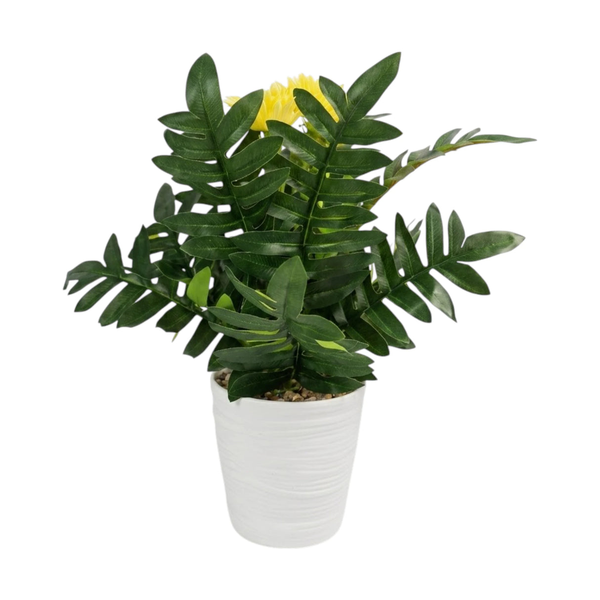 flower pot plastic aster yellow 12''x3'' china