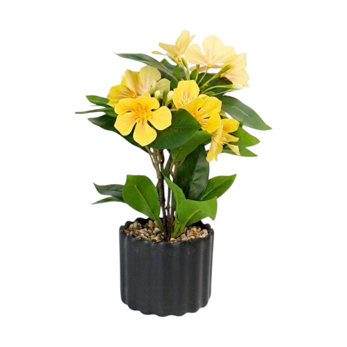 flower pot plastic magnolia yellow 10''x4'' china