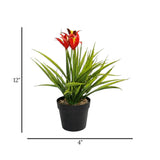flower pot plastic star red 12''x4'' china