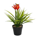 flower pot plastic star red 12''x4'' china