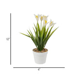 flower pot plastic star white 12''x4'' china
