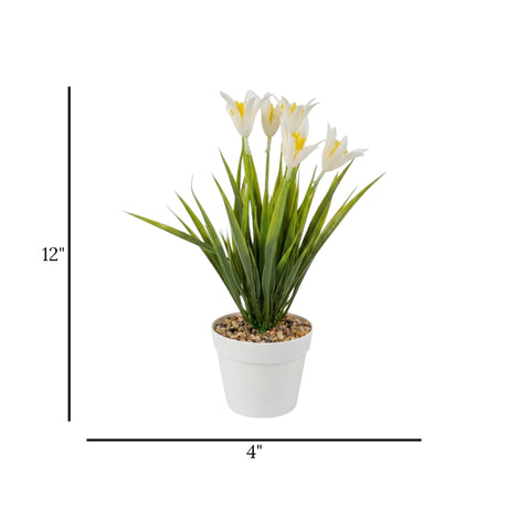 flower pot plastic star white 12''x4'' china