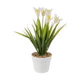 flower pot plastic star white 12''x4'' china