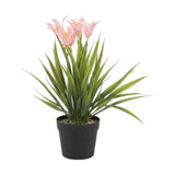 flower pot plastic star pink 12''x4'' china
