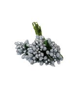 flower steameans l