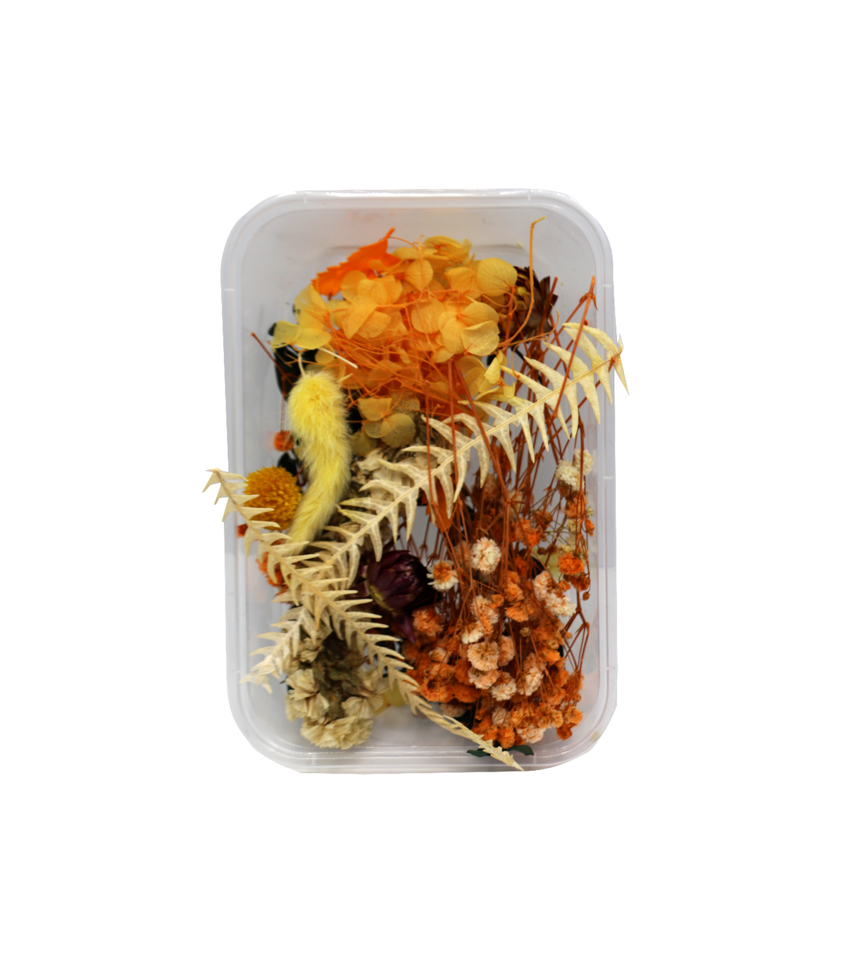 real dried flowers plants for resin jewllery making craft 9190
