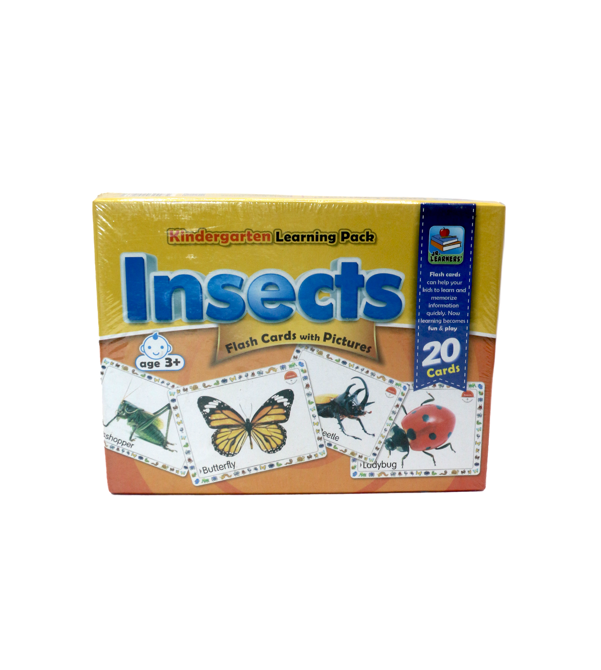 learning flash cards insects with pictures 20 cards 2412