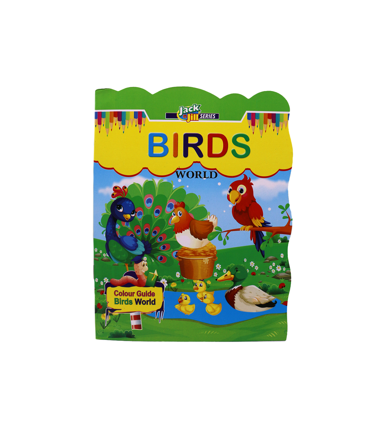 jack n jill birds world coloring book