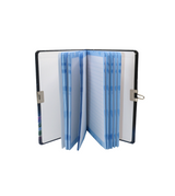 lock diary unicorn 1903-10