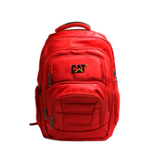 college bag cat 005