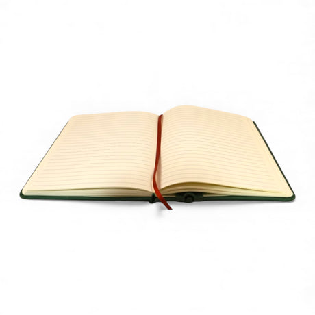 diary with pen 6030 china