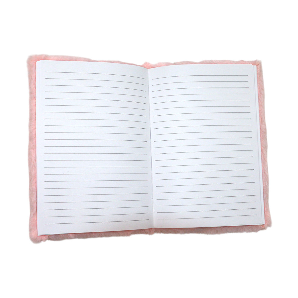 furr diary r2-2 china