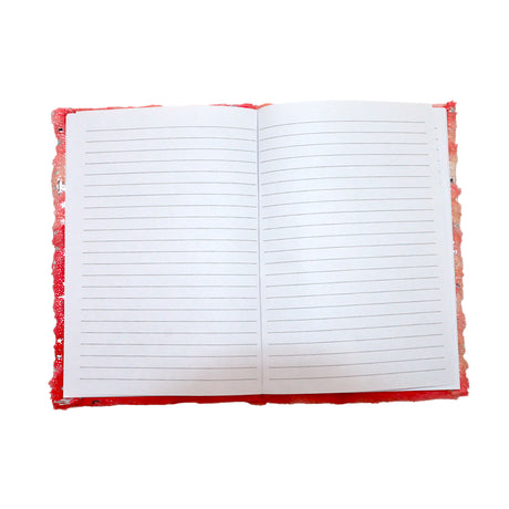 furr diary r2-19 china