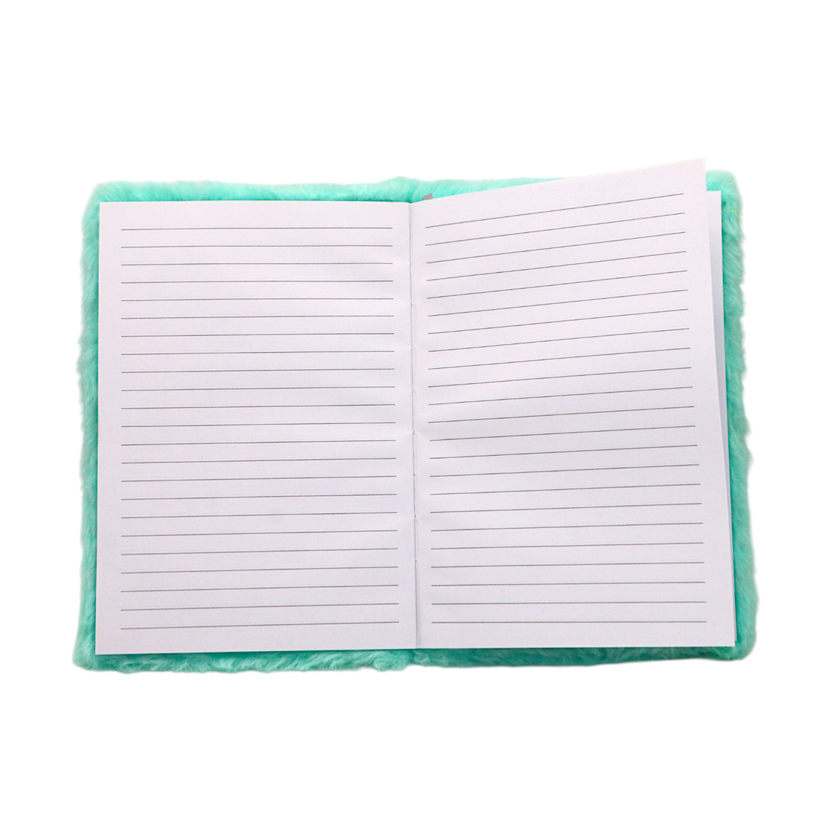 furr diary china