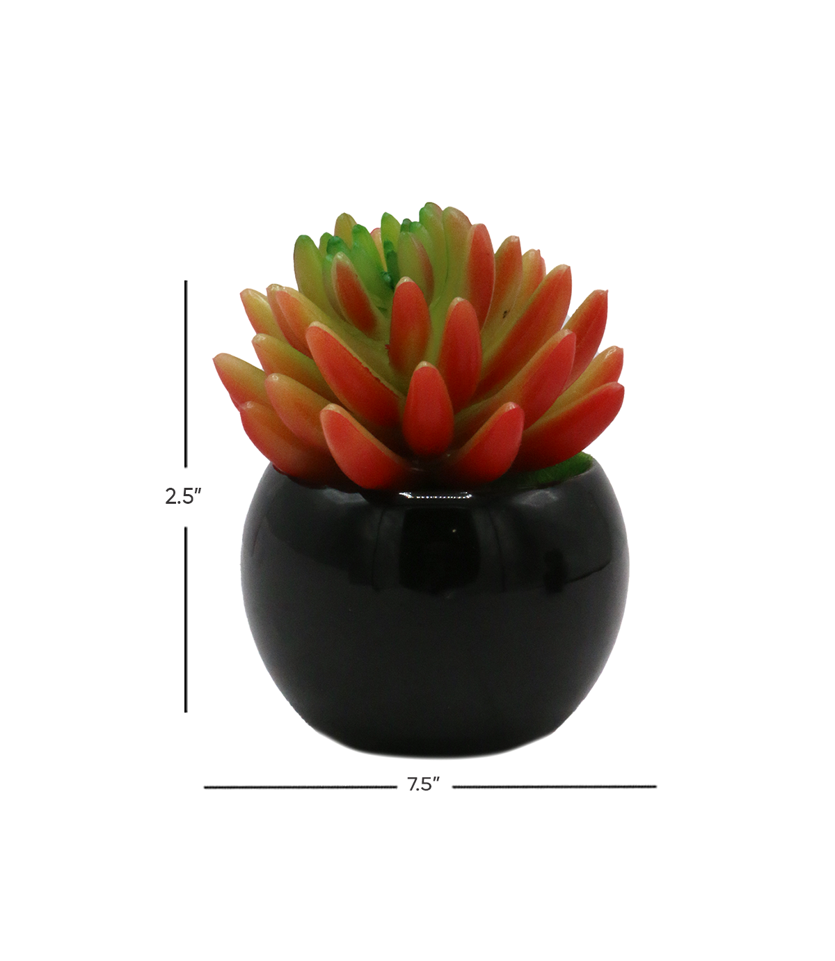 green cactus & ceramic pot 2.5"h x 7.5"w china d547