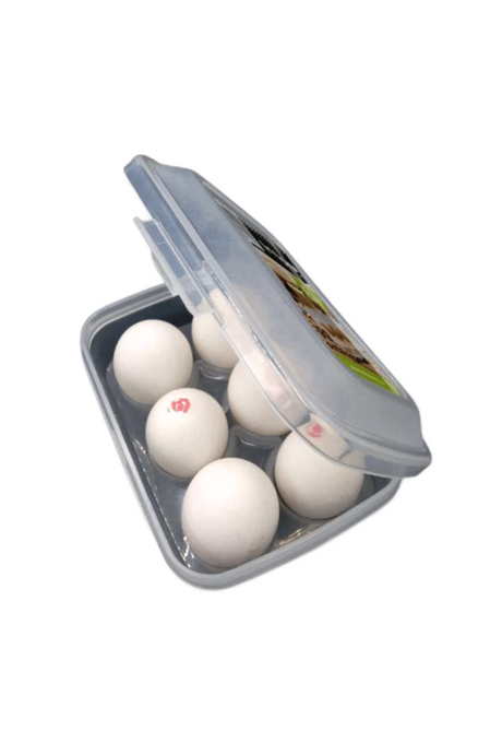 egg box limon 6pc