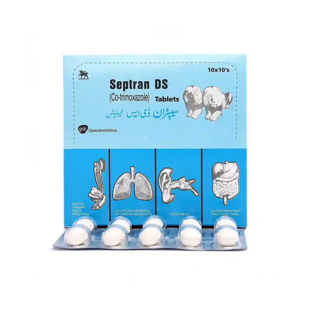 tablets septran ds 100s gsk – KK Mart