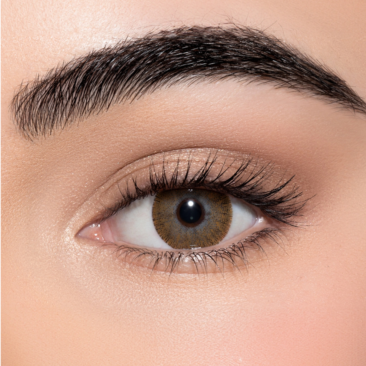 lens me brown made in korea