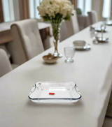 norex dish large 522101