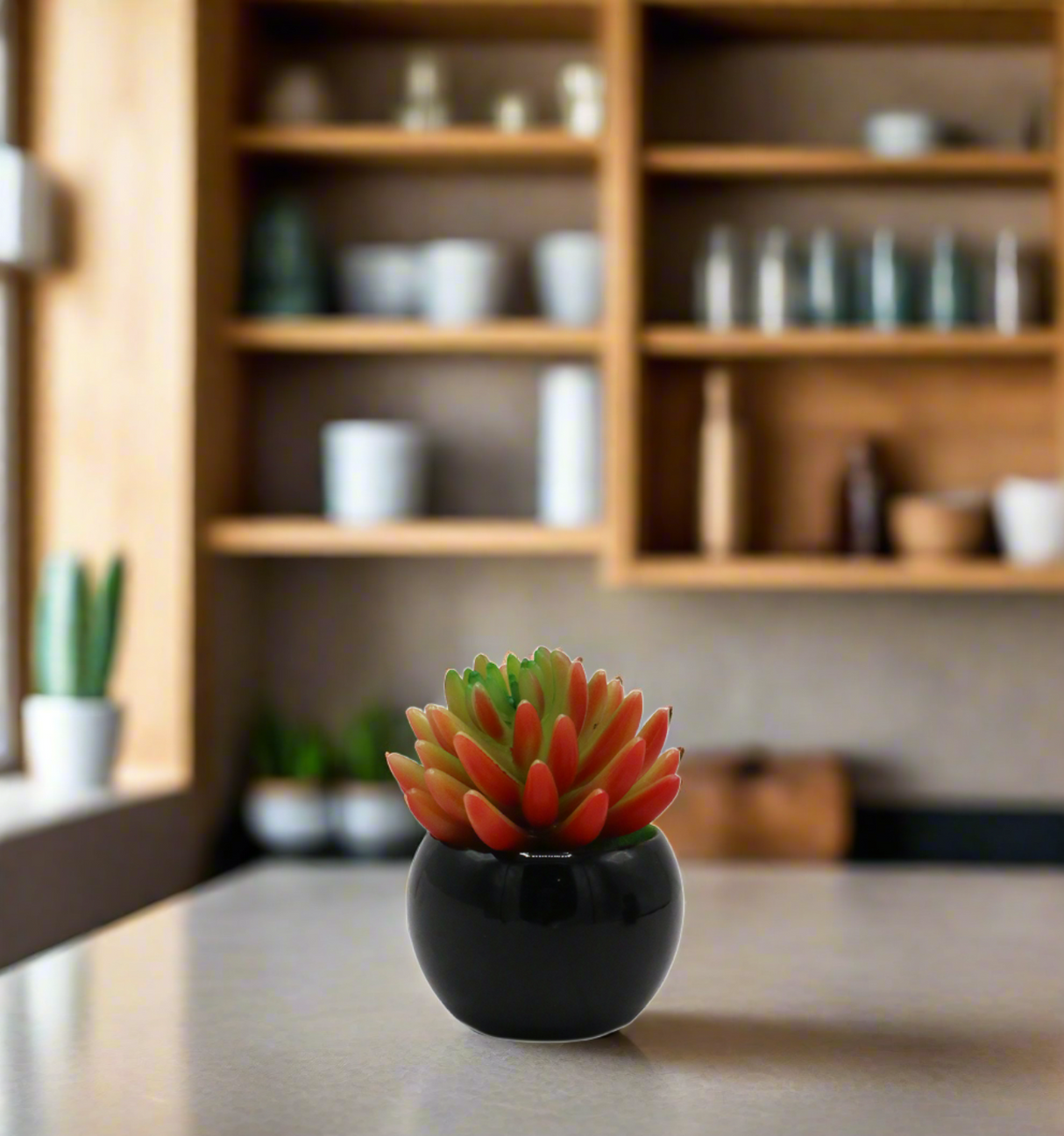 green cactus & ceramic pot 2.5"h x 7.5"w china d547