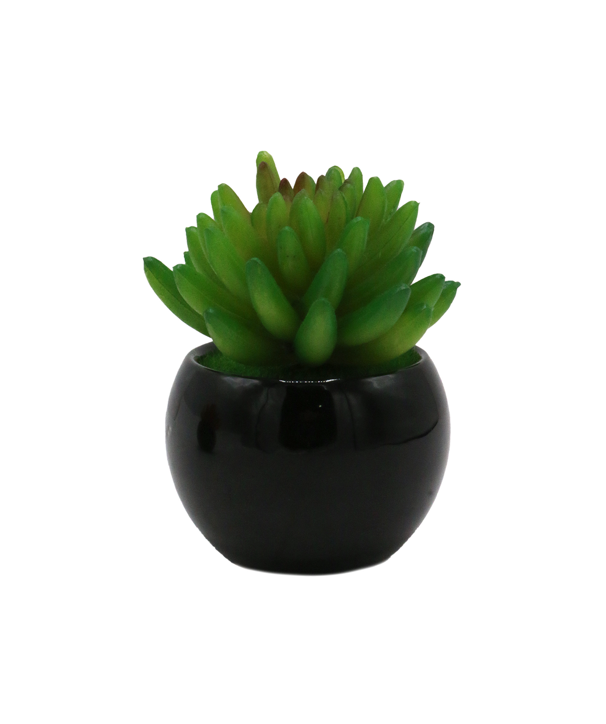 green cactus & ceramic pot 2.5"h x 7.5"w china d547